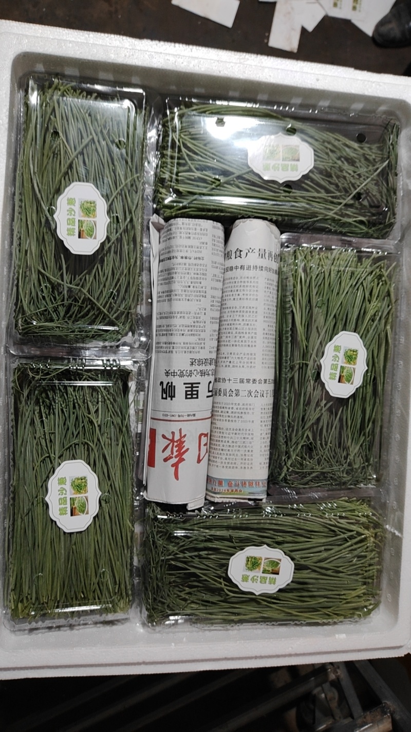 沙葱，产地直发，价格优惠，诚信经营