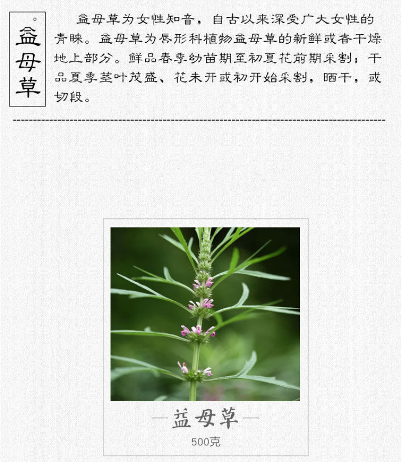 云南野生中药材益母草500g中草药精选一级无硫干净新货女