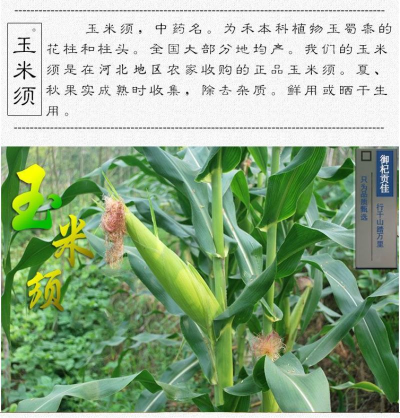 玉米须干中药材新鲜苞米须子泡水泡茶农家玉米须