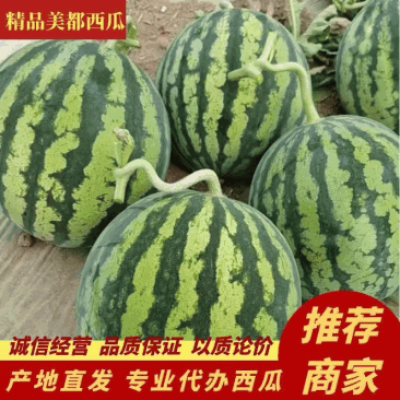 【实力优选】云南美都西瓜-皮薄瓜甜-可对接市场商超