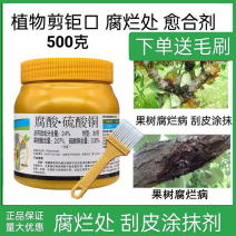 盖能愈2.4%腐酸·硫酸铜苹果树腐烂涂抹伤口愈合剂杀菌剂