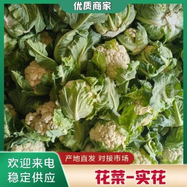 【精品子叶花】陕西洋县白花菜花松花菜实力代办一条龙服务