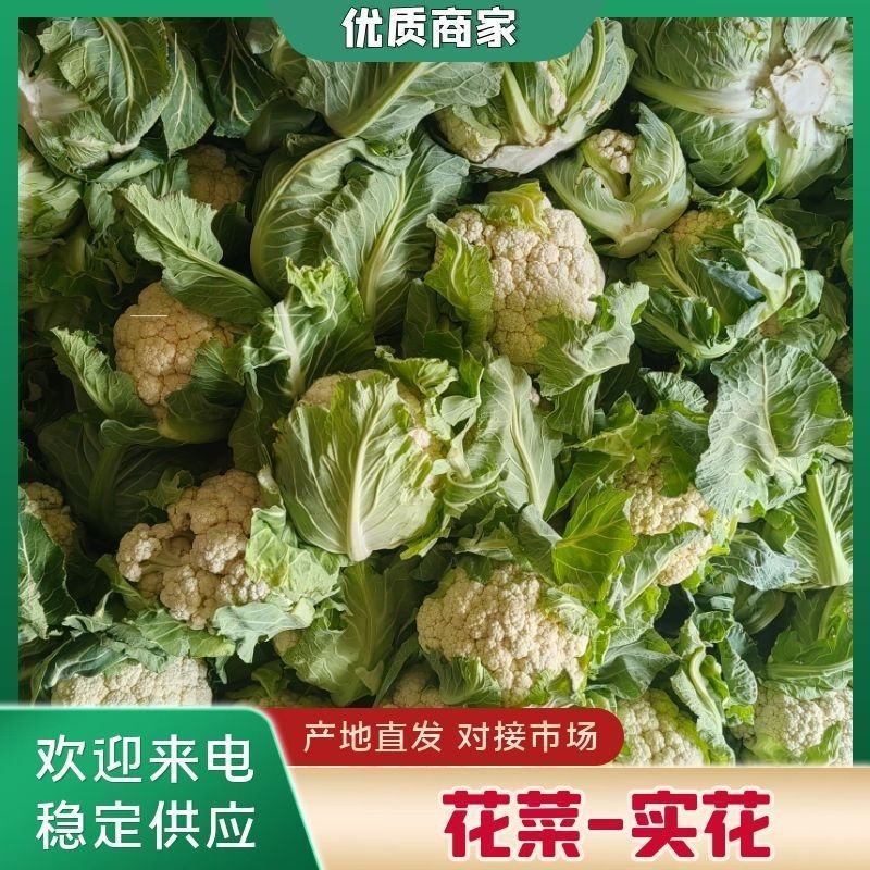 【精品子叶花】陕西洋县白花菜花松花菜实力代办一条龙服务