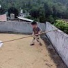 邹国的一亩田店铺