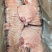 精品猪大排片品质保证可视频看货对接全国市场商超