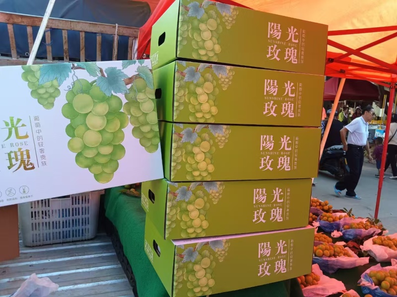 元谋阳光玫瑰，品质保证，价格优惠，产地直发