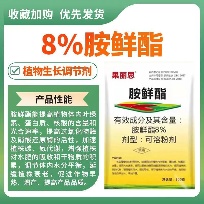8%胺鲜酯大白菜调节生长植物生长调节剂缓解药害膨果