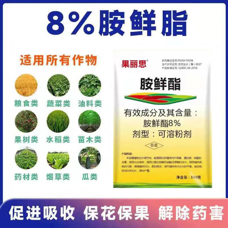 8%胺鲜酯大白菜调节生长植物生长调节剂缓解药害膨果