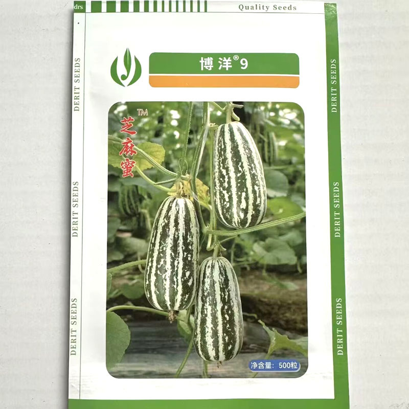 博洋9号甜瓜种子芝麻蜜薄皮甜瓜种子白绿花皮口感脆酥