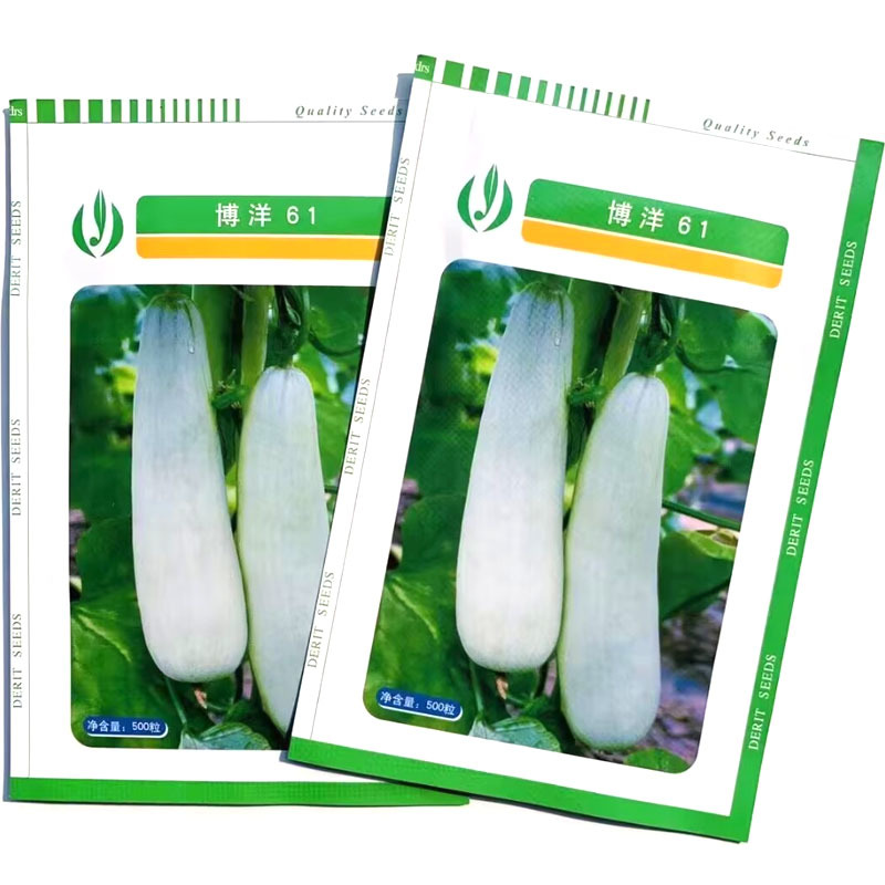 博洋61甜瓜种子羊角蜜甜瓜种子皮色灰白薄皮口感脆酥