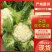 菜花带叶实菜花汉中菜花量大优惠对接商超市场等