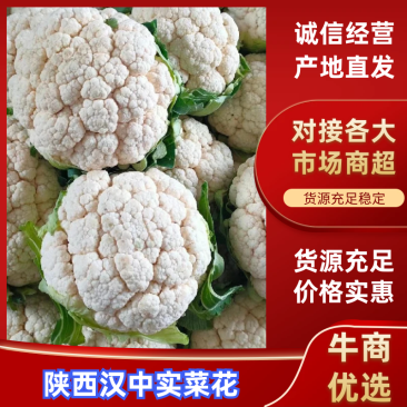 汉中菜花带叶实菜花乳白紧花产地直发一手货源视频看货