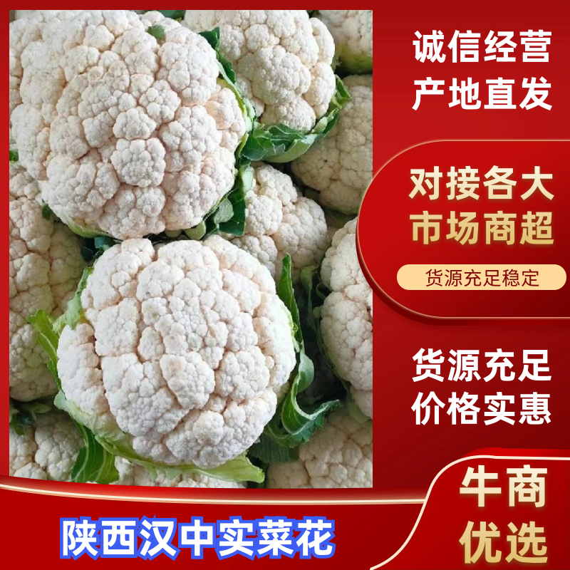 汉中菜花带叶实菜花乳白紧花产地直发一手货源视频看货