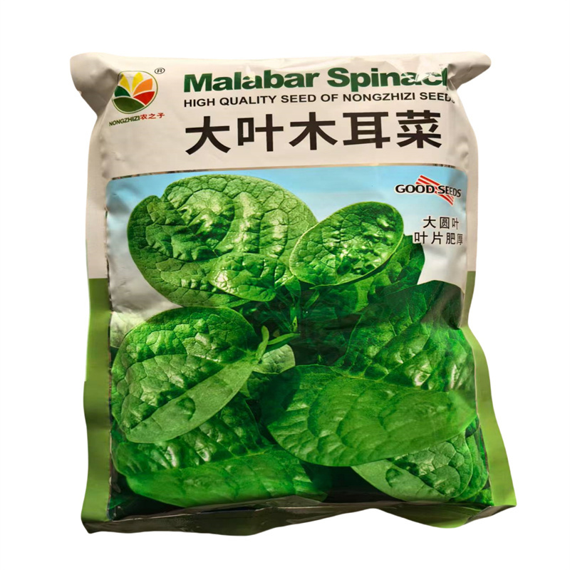 大叶木耳菜种子大圆叶耐抽苔农之子叶片肥厚圆叶