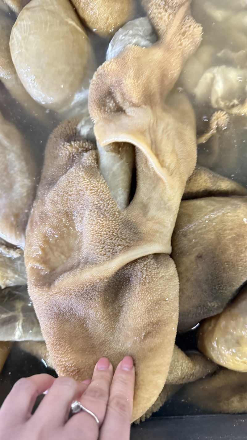 《羊肚丝》水发羊肚/厂家常年供应/资质手续齐全/量大从优