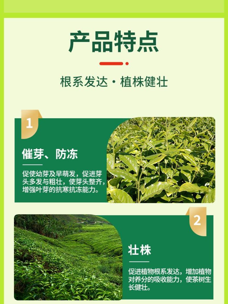 茶树茶叶专用催芽剂叶面肥爆芽优芽素肥料破眠早发多发芽催芽