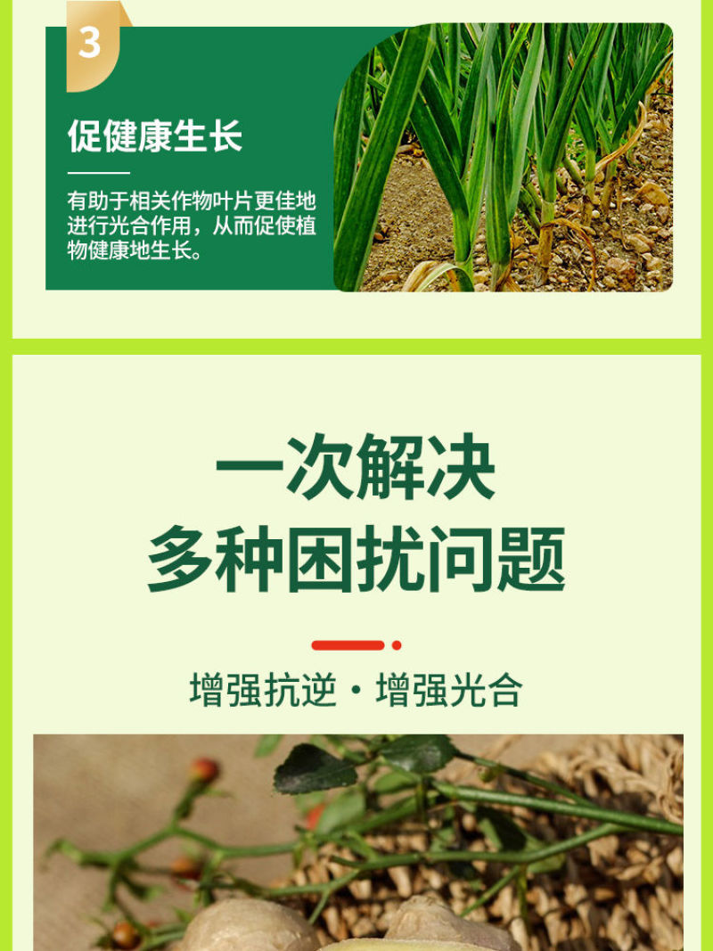 葱姜蒜菌净韭菜干尖灵黄卷干叶软腐茎枯灰叶霉叶片浓绿亮泽叶