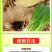葱姜蒜菌净韭菜干尖灵黄卷干叶软腐茎枯灰叶霉叶片浓绿亮泽叶