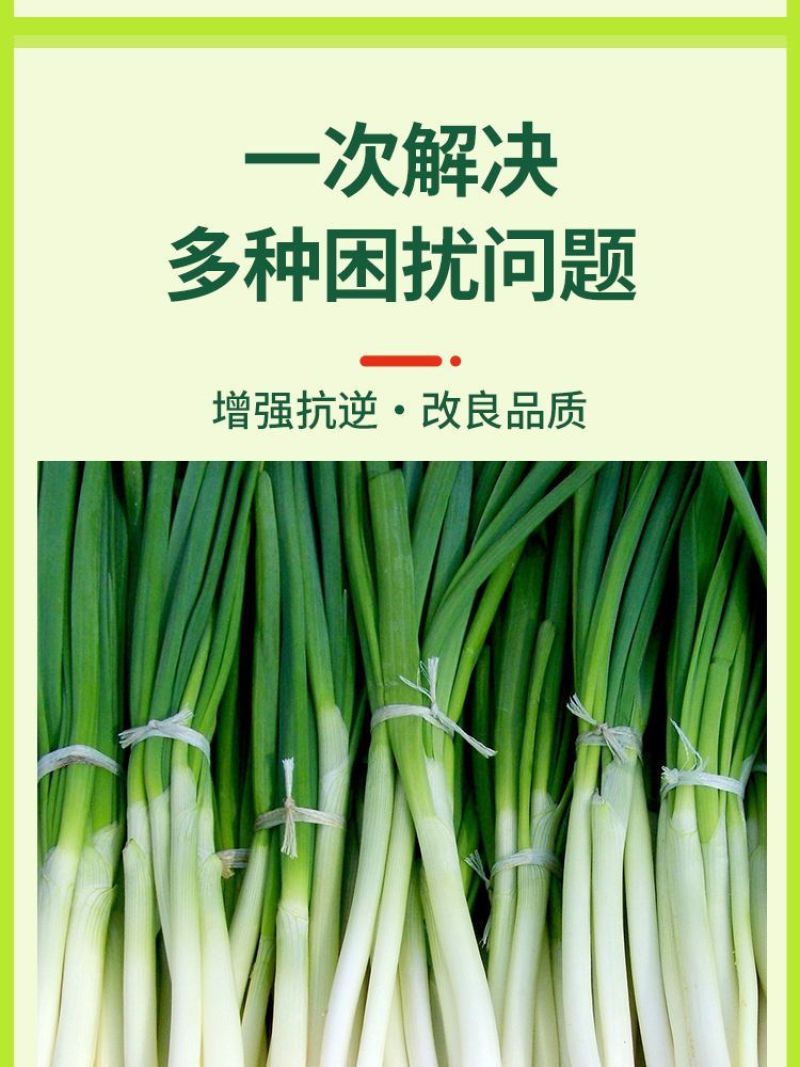 大葱宝宝中量元素水溶肥料控上促下生根壮苗提供营养增抗逆叶