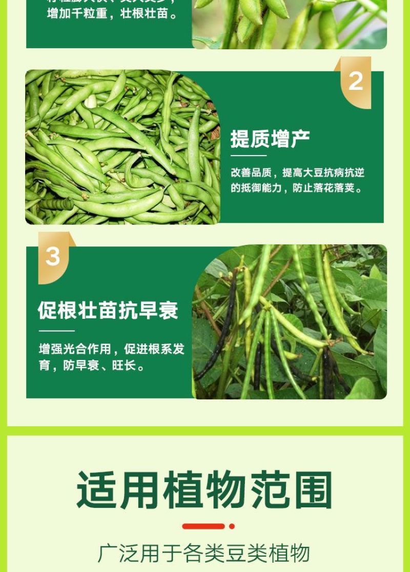 大豆粒粒饱豆类作物增产叶面肥抗旱抗涝籽粒饱满含氨基酸水溶