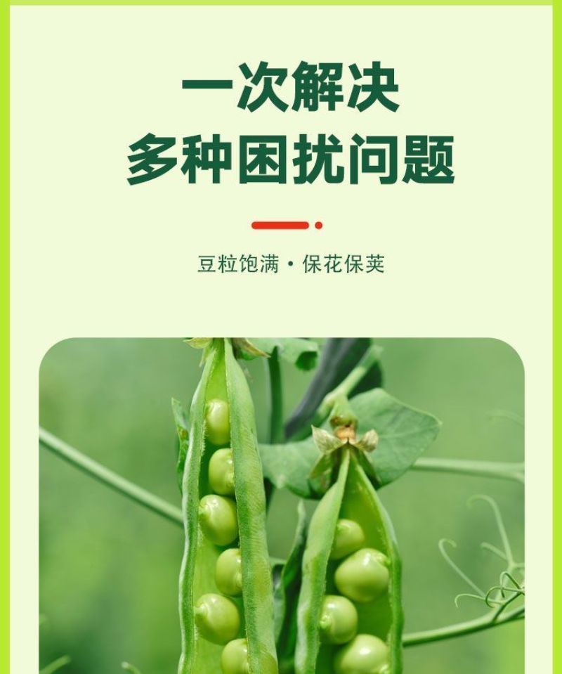 大豆粒粒饱豆类作物增产叶面肥抗旱抗涝籽粒饱满含氨基酸水溶