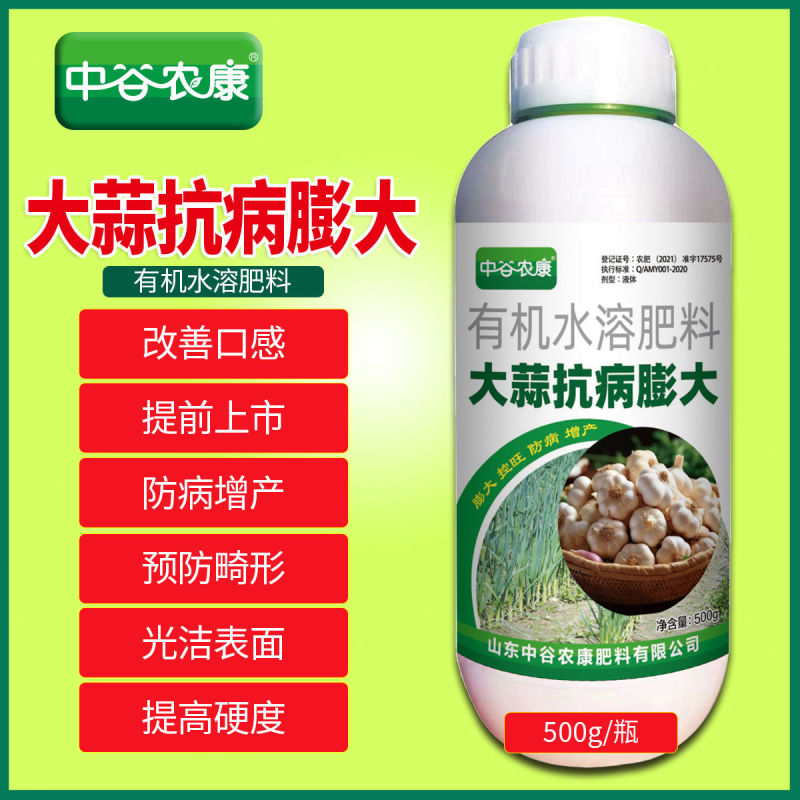 胖大蒜大蒜专用膨大增产预防干尖黄叶生根壮苗易抽薹抗逆