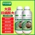 胖大蒜大蒜专用膨大增产预防干尖黄叶生根壮苗易抽薹抗逆