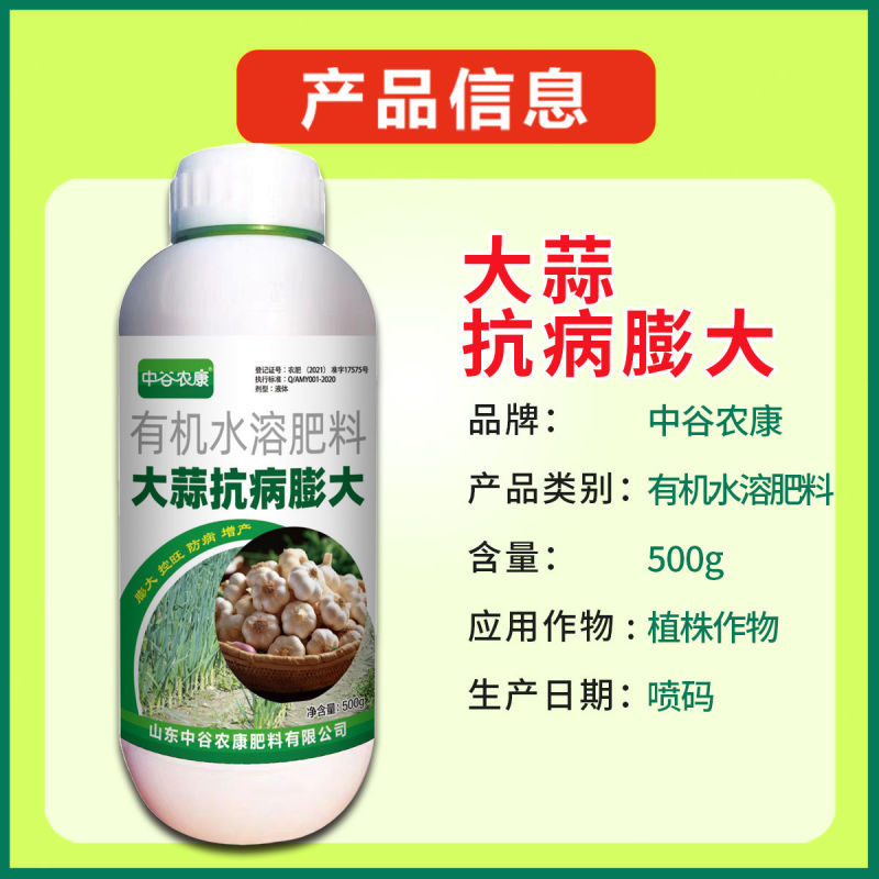 胖大蒜大蒜专用膨大增产预防干尖黄叶生根壮苗易抽薹抗逆
