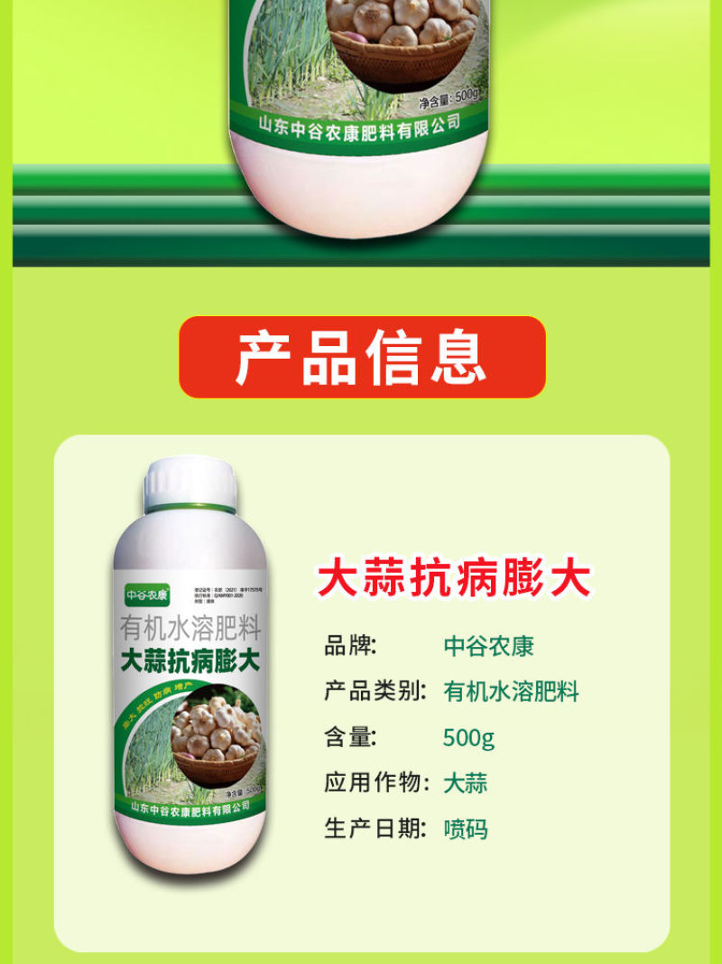 胖大蒜大蒜专用膨大增产预防干尖黄叶生根壮苗易抽薹抗逆