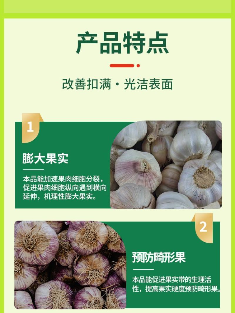 胖大蒜大蒜专用膨大增产预防干尖黄叶生根壮苗易抽薹抗逆