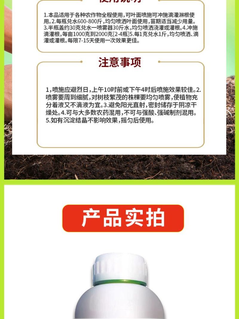 胖大蒜大蒜专用膨大增产预防干尖黄叶生根壮苗易抽薹抗逆