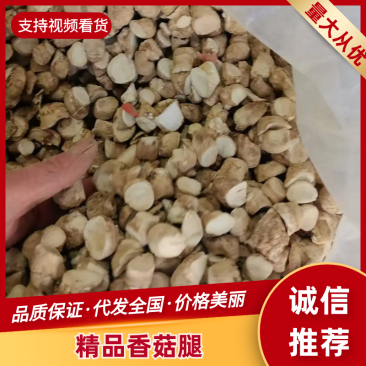 优质成品香菇腿干净无膜品质保证
