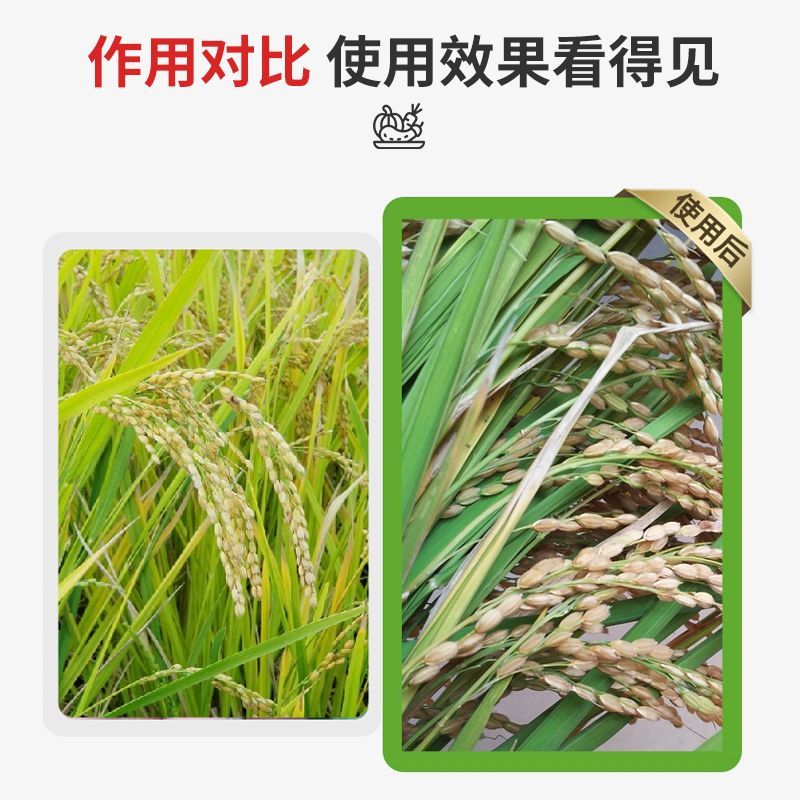 水稻专用复合肥叶面肥稻黄金壮秧剂分蘖灌浆微量元素有机水溶