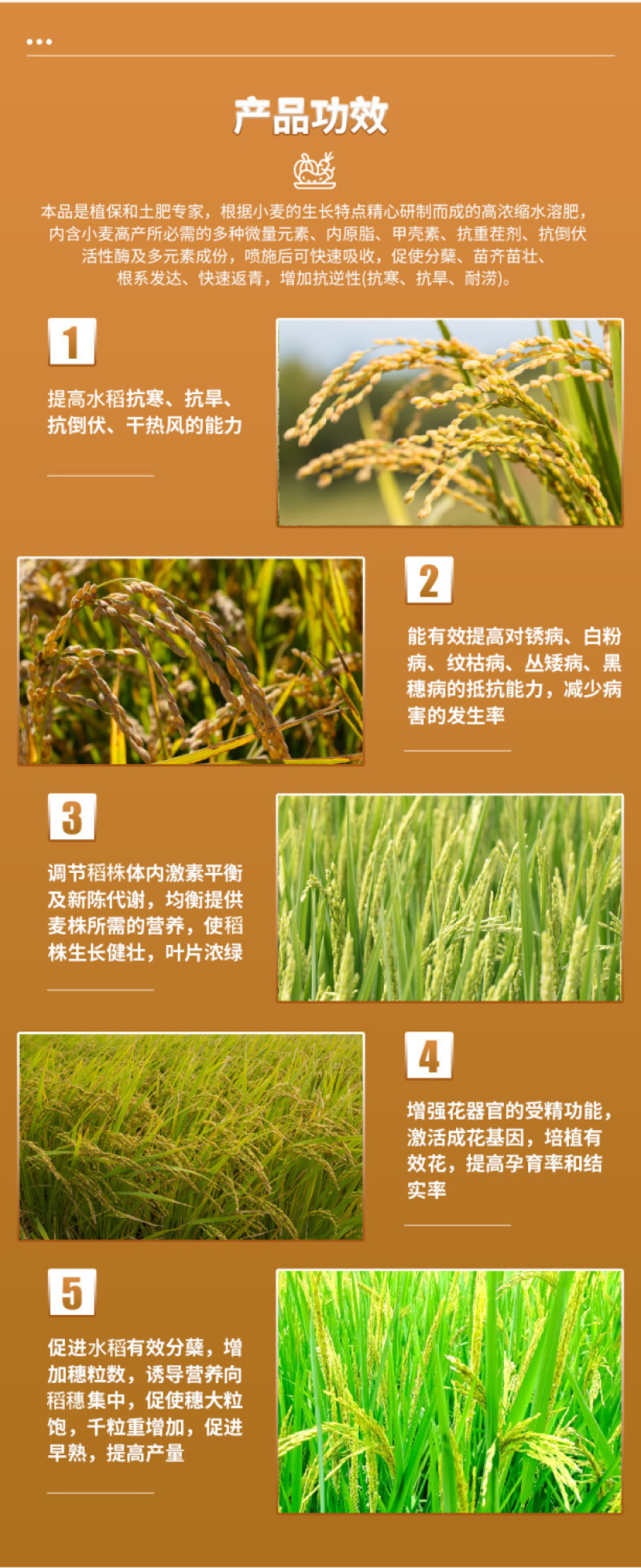 水稻专用复合肥叶面肥稻黄金壮秧剂分蘖灌浆微量元素有机水溶