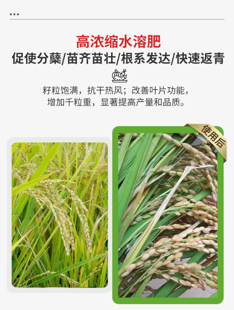 水稻专用复合肥叶面肥稻黄金壮秧剂分蘖灌浆微量元素有机水溶