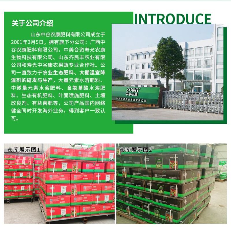 地下根茎膨大素土豆红薯专用膨大素花生大蒜专用根茎块膨大素