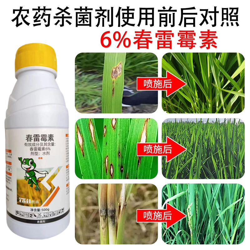 6%春雷霉素老牌子正牌预防治疗稻瘟病叶枯病炭疽病溃疡病杀