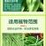 正品豆角荚多宝豆类专用水溶肥料拉直拉长增产素保花保果药叶
