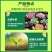 多肉营养液专用肥花肥料肉肉植物增肥色优芽素浓缩家用盆栽通