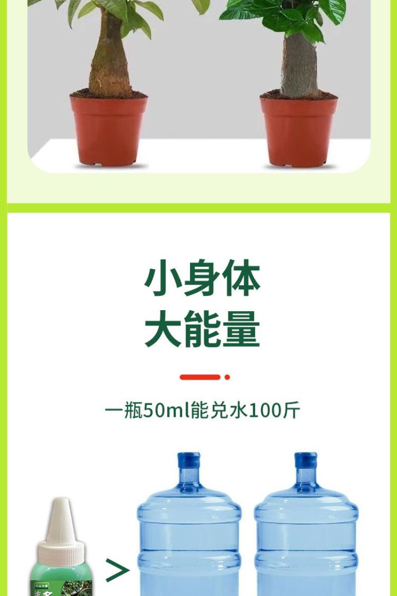 多肉营养液专用肥花肥料肉肉植物增肥色优芽素浓缩家用盆栽通