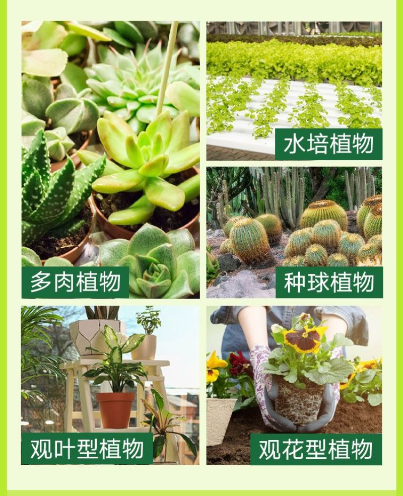 多肉营养液专用肥花肥料肉肉植物增肥色优芽素浓缩家用盆栽通