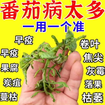 番茄西红柿病菌清抑菌疫菌清病毒病专用药复合微生物杀菌剂