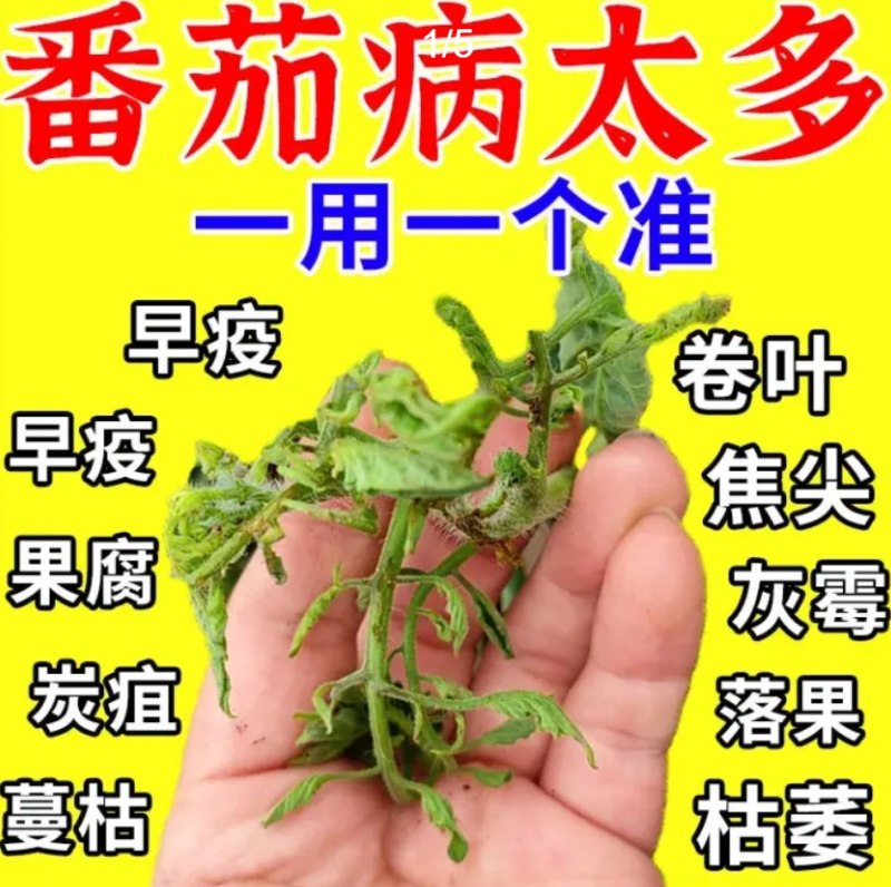 番茄西红柿病菌清抑菌疫菌清病毒病专用药复合微生物杀菌剂