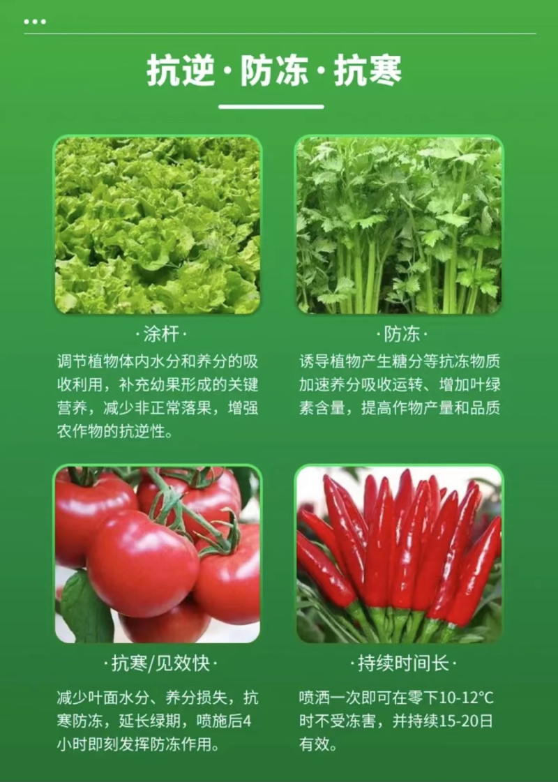 植物防冻液抗冻剂果树防寒植物抗寒防冻液植物防冻剂通用包邮