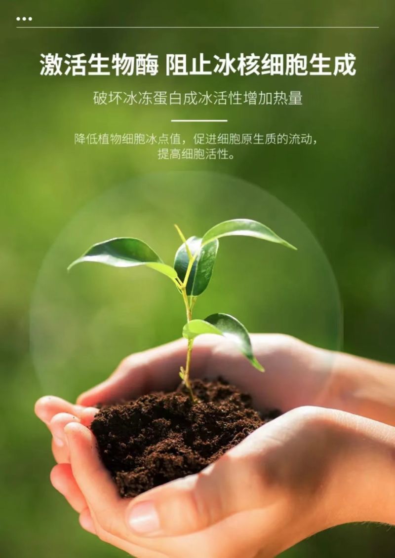 植物防冻液抗冻剂果树防寒植物抗寒防冻液植物防冻剂通用包邮