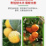 植物防冻液抗冻剂果树防寒植物抗寒防冻液植物防冻剂通用包邮
