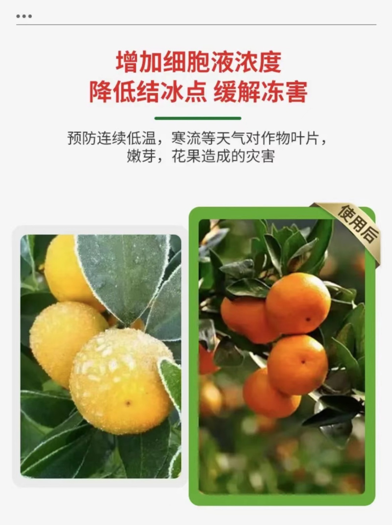 植物防冻液抗冻剂果树防寒植物抗寒防冻液植物防冻剂通用包邮