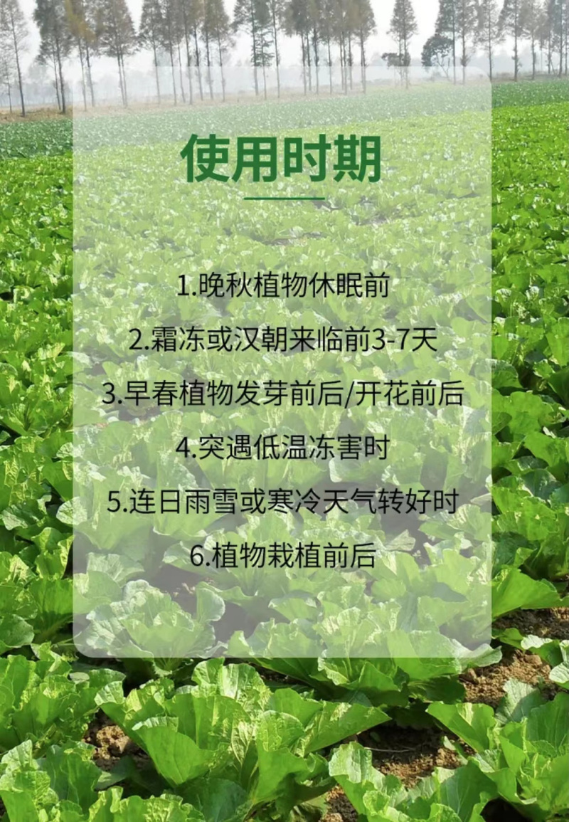 植物防冻液抗冻剂果树防寒植物抗寒防冻液植物防冻剂通用包邮
