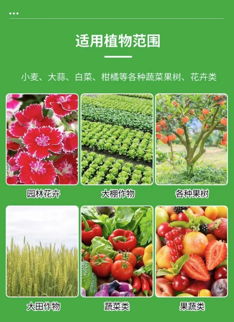 植物防冻液抗冻剂果树防寒植物抗寒防冻液植物防冻剂通用包邮