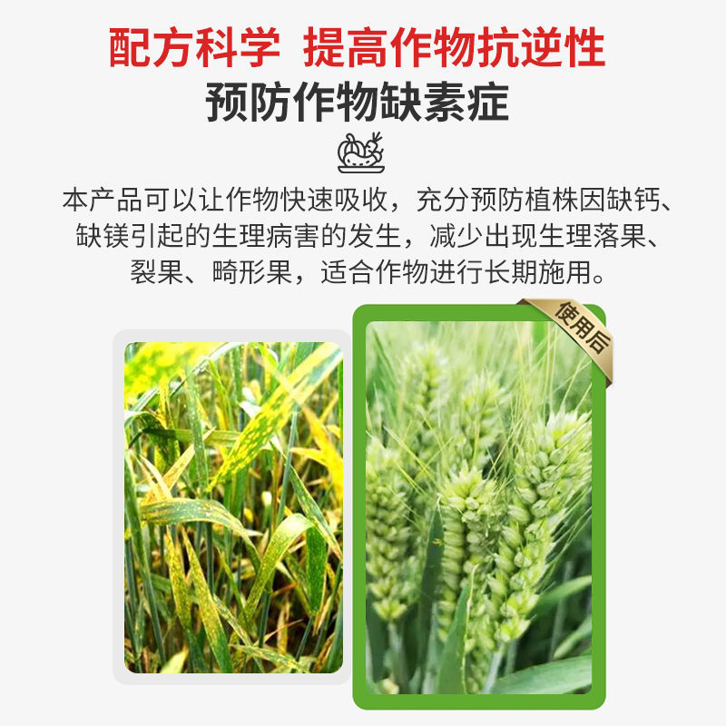 糖醇钙镁硼锌铁叶面肥蔬菜果树防裂中微量元素水溶肥料通用型